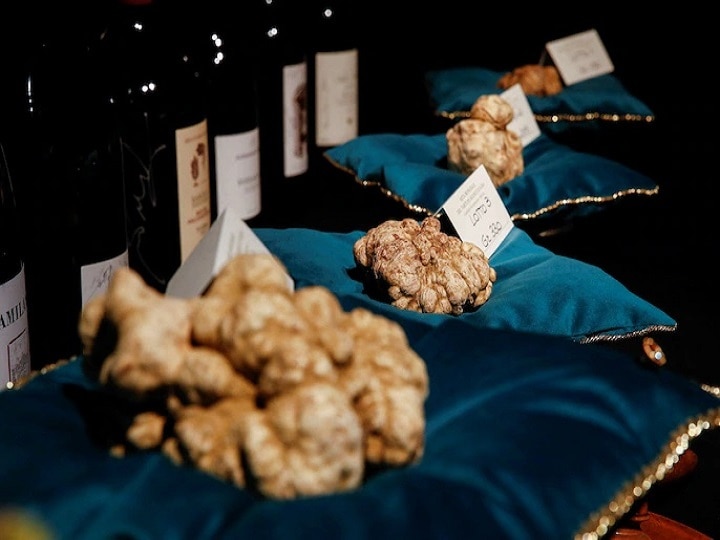 White Truffle Mushroom: 15 लाख रुपये में नीलाम हो चुका है दुनिया का सबसे महंगा मशरूम, खूबियां जानकर दंग रह जाएंगे!