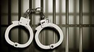Mansa Police arrested 5 persons who snatched pistol from Bathinda police Employee Mansa News : ਬਠਿੰਡਾ ਪੁਲਿਸ ਮੁਲਾਜ਼ਮਾਂ ਤੋਂ ਪਿਸਤੌਲ ਖੋਹ ਕੇ ਭੱਜਣ ਵਾਲੇ 5 ਵਿਅਕਤੀਆਂ ਨੂੰ ਮਾਨਸਾ ਪੁਲਿਸ ਨੇ ਕੀਤਾ ਕਾਬੂ