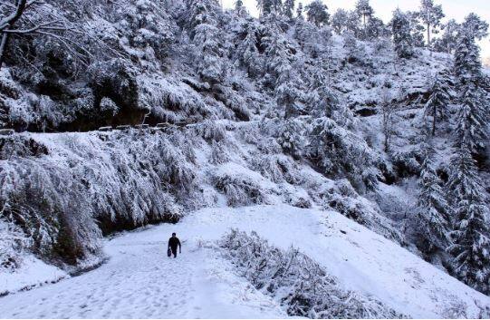 उत्तर भारतात पावसानं हजेरी लावली आहे. तर काही भागात बर्फवृष्टी झाली आहे. पावसानं हजेरी लावल्यामुळं थंडीचा जोर काहीसा कमी झाला आहे.