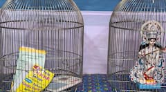 Saraswati Puja 2023: कोलकाता में सरस्वती पूजा का थीम बना 'शिक्षक भर्ती घोटाला', मां की मूर्ति बेचते दिखाई दिए पार्थ और अर्पिता