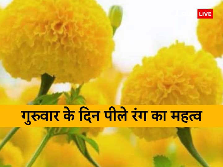 Importance of yellow color on Thursday, why wear yellow clothes