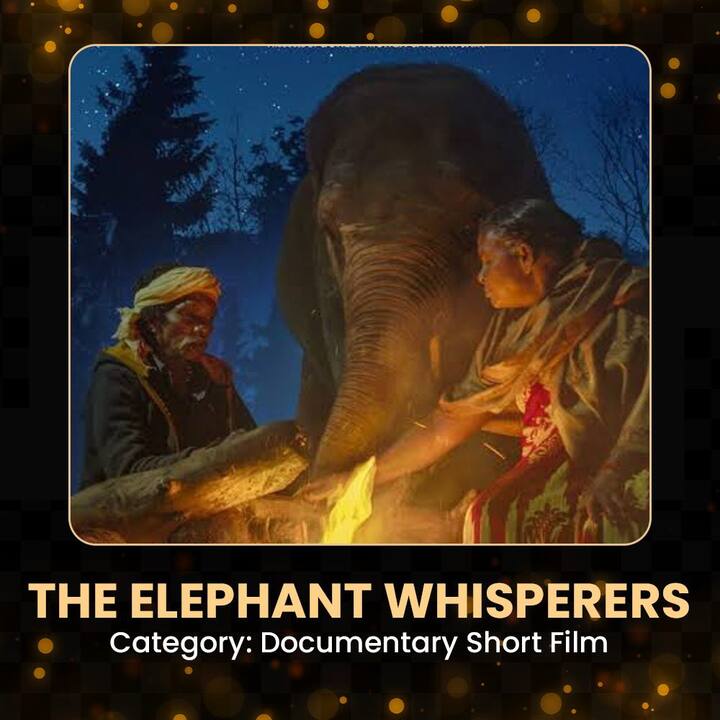 சிறந்த ஆவணப்படத்துக்கான பட்டியலில் தமிழ்நாட்டின் நீலகிரி, முதுமலைக் காடுகளை மையப்படுத்தி எடுக்கப்பட்ட  ‘தி எலிஃபண்ட் விஸ்பரர்ஸ்’ இடம்பிடித்து சாதனை படைத்துள்ளது.