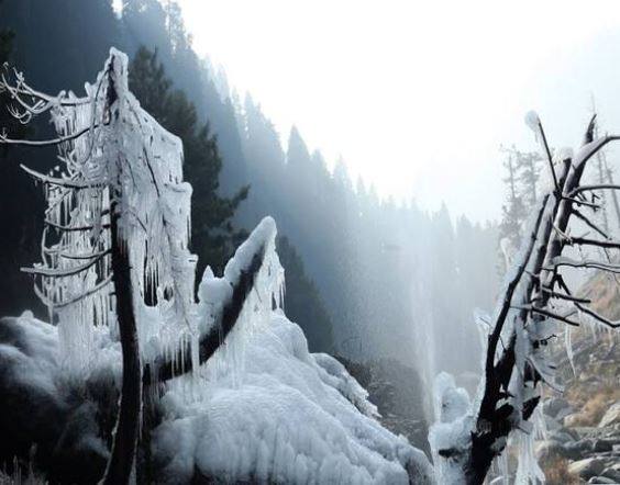 Maharashtra Weather Update: Severe cold continues in Maharashtra, rain and snowfall somewhere in North India