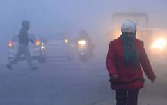 Maharashtra Weather Update:  महाराष्ट्रात थंडी कायम, उत्तर भारतात कुठे पाऊस तर कुठे बर्फवृष्टी