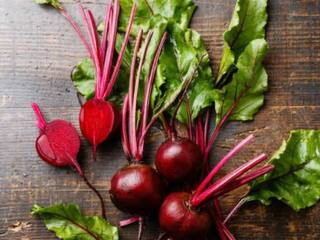 खूबसूरती पर प्रश्न चिंह लगा रहे हैं झड़ते बाल? इस घरेलू हेयर मास्क से होगा कमाल...एक बार जरूर आजमाएं