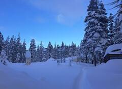 Maharashtra Weather Update:  महाराष्ट्रात थंडी कायम, उत्तर भारतात कुठे पाऊस तर कुठे बर्फवृष्टी