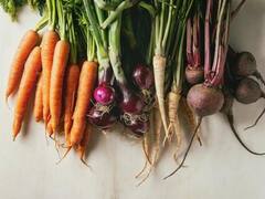 मिल गया सर्दियों में सेहतमंद रहने का उपाय...डाइट में शामिल कर लें ये जड़ वाली सब्जियां