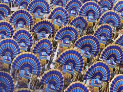 Republic Day Parade : प्रजासत्ताक दिनानिमित्त दिल्लीतील संचलनात भारताच्या सामर्थ्याचे दर्शन; पाहा खास क्षणचित्रे