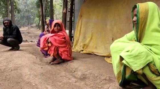 Maharashtra  Weather : 29 जानेवारीनंतर महाराष्ट्रात थंडीची लाट येणार