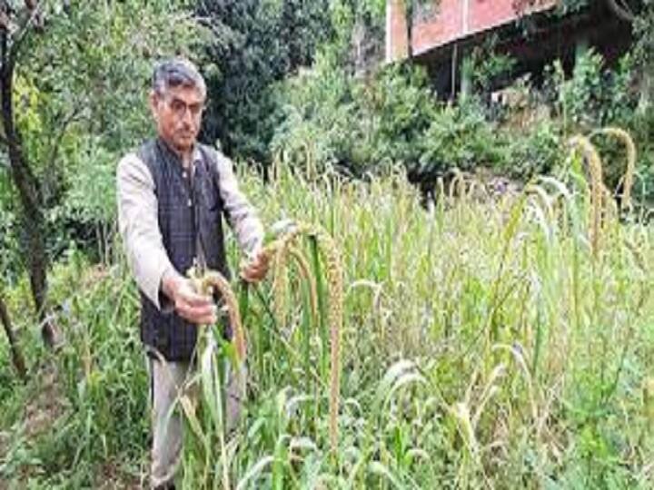 Padma Shri Award: If I could not get a job anywhere, I started doing farming like this… now got Padma Shri