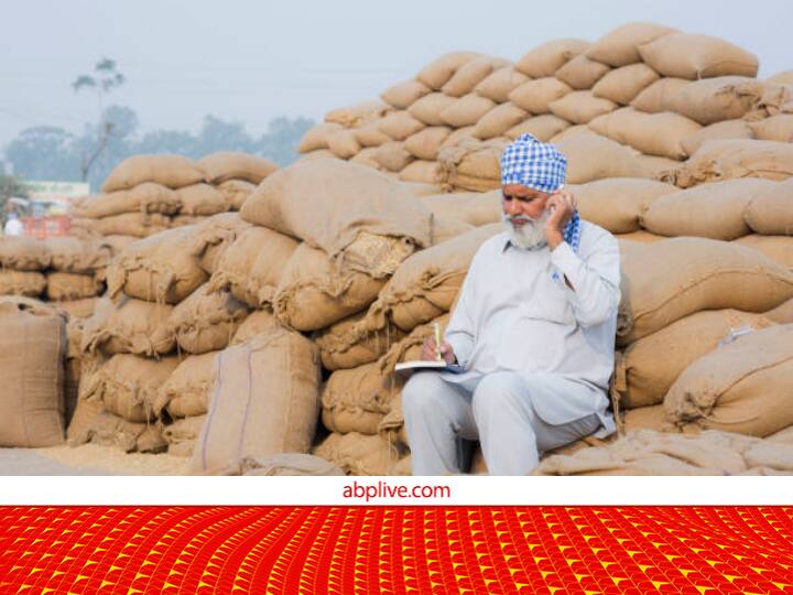 Rabi Crop Registration: किसान भाईयों के लिए 31 जनवरी डेडलाइन, इस लिंक पर करें रबी फसल का पंजीकरण 31 January Deadline for Rabi Crop Registration on Meri Fasal Mera Byora Portal in Haryana Rabi Crop Registration: किसान भाईयों के लिए 31 जनवरी डेडलाइन, इस लिंक पर करें रबी फसल का पंजीकरण