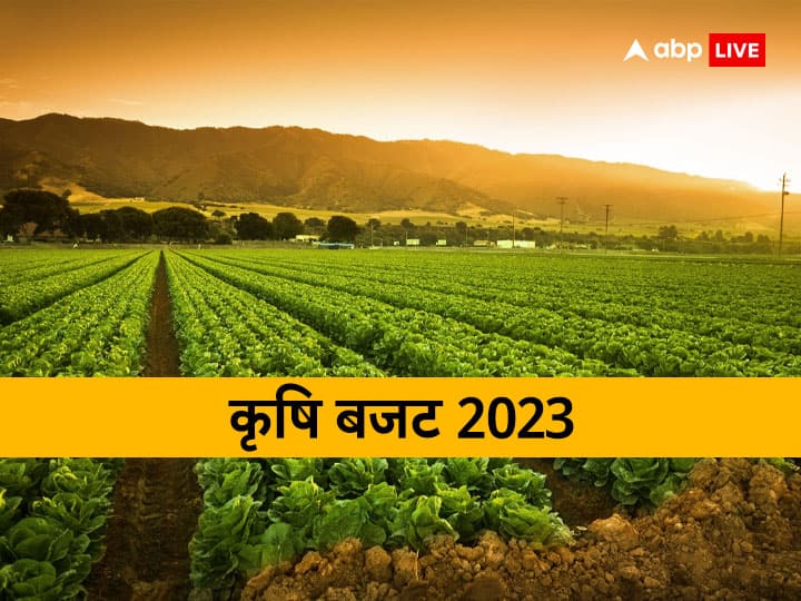 Budget 2023: बजट में कृषि क्षेत्र के लिए हो सकती है उपहारों की बारिश, जानें क्या है कारण Budget 2023: बजट में कृषि क्षेत्र के लिए हो सकती है उपहारों की बारिश, जानें क्या है कारण