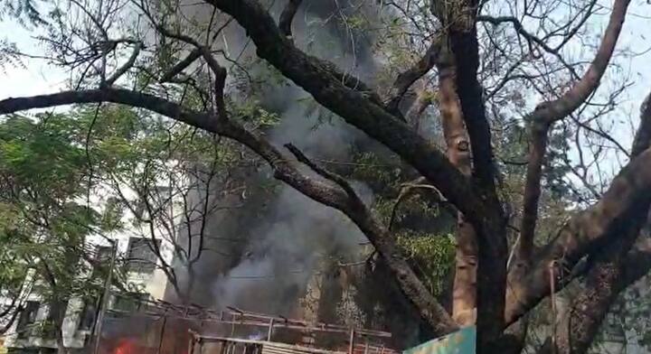 या आगीत कुठलीही जीवितहानी झाली नाही