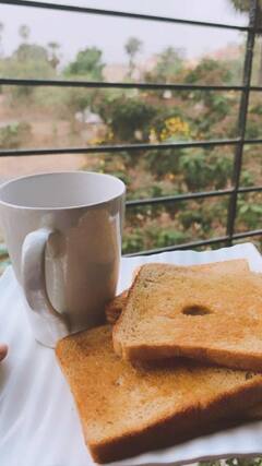 Toast Making Process : टोस्ट तयार करण्याची प्रक्रिया तुम्हाला माहित आहे का?