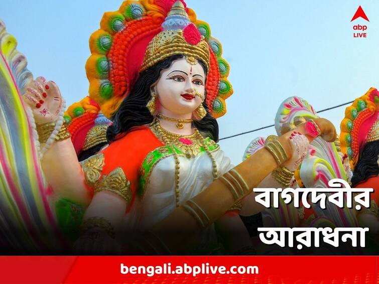 Saraswati Puja 2023 From home to educational institute puja celebration across the state Saraswati Puja 2023:মাঘ মাসের শুক্লা পঞ্চমী, বাসন্তী শাড়ি আর পাঞ্জাবিতে জমজমাট বাগদেবীর আরাধনা