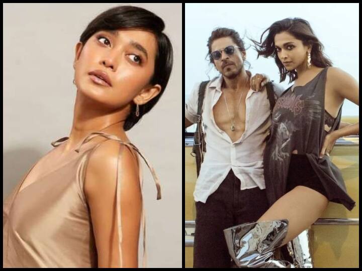 Pathaan actress Sayani Gupta calls SRK the sexiest beast and compare Deepika Padukone as sizzling sax ball details 'Pathaan' देखकर इंटरवल में ही उठ आई ये एक्ट्रेस...फिर शाहरुख-दीपिका के लिए लिख दी ऐसी बात