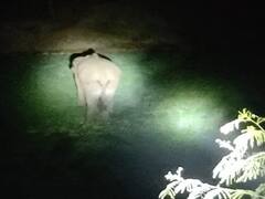 सरगुजा में दवा देने गये सुरक्षा श्रमिक की हाथी ने ले ली जान, भाग खड़े हुए डॉक्टर और वनकर्मी