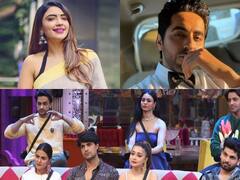 MTV Roadies के इन एक्स कंटेस्टेंट्स की एक्टिंग का नहीं है कोई शानी, एक बिग बॉस के घर में कर रहे हैं ड्रामा!