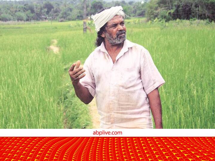 Kerala Farmer Cheruvayal K Raman Got Padma Shri Award 2023 for Conservation of 45 Paddy Rice Varieties Padma Shri Awards 2023: केरल के आदिवासी किसान ने संजोया 500 साल पुराना चावल,धान की 45 देसी किस्मों के संरक्षण के लिए पद्मश्री से सम्मानित