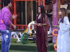 शालीन ने टीना को पिपंल की तरह कहा इरिटेटिंग तो मचा बवाल, जानें- बिग बॉस के 117वें दिन का अपडेट