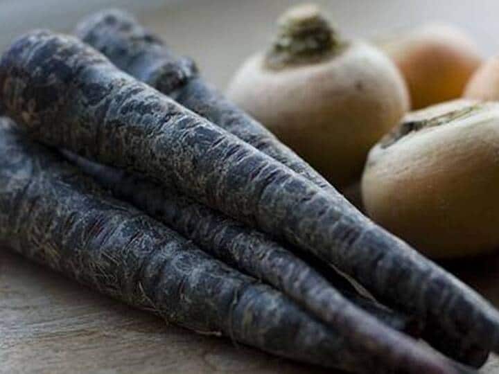 Black carrot is a treasure of powerful antioxidants, benefits in many diseases including cancer