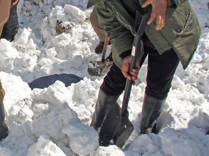 Himachal Pradesh Weather Kinnaur Avalanche Indo-Tibet Road Obstructed 256 Roads Including Four NH Closed Due To Snowfall Himachal Pradesh Weather: किन्नौर में हिमस्खलन से बाधित हुआ भारत-तिब्बत मार्ग, बर्फबारी से चार एनएच समेत 256 सड़कें बंद