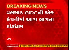Valsad : Vapi GIDCની કંપનીમાં ફાટી નીકળી આગ, મચી નાસભાગ