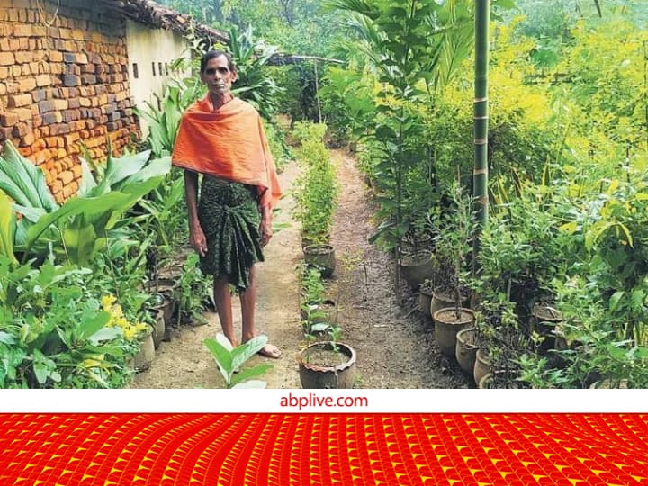 Odisha Farmer Patayat Sahu Got Padma Shri Awards 2023 For Organic Herbs Farming or Herbs Gardening Padma Shri Awards 2023: मात्र 1.5 एकड़ में जैविक विधि से उगा दीं 3,000 औषधियां, छोटे किसान की बड़ी सोच ने अपने नाम करवाया पद्मश्री अवॉर्ड