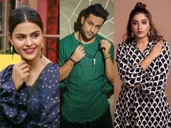 Bigg Boss 16 : 'बिग बॉस 16' च्या 'या' स्पर्धकांचं नशीब उजळलं; शोमधून बाहेर पडण्याआधीच मिळाले मोठे प्रोजेक्ट्स