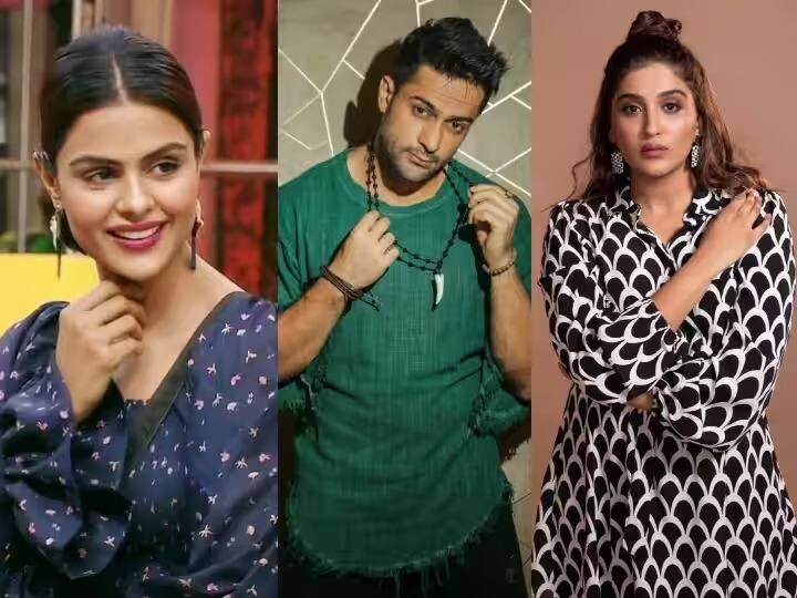 Bigg Boss 16 Contestants : 'बिग बॉस सीझन 16' च्या सर्व दमदार स्पर्धकांचं नशीब घरामध्ये उजळलं आहे. शोमधून बाहेर पडण्याआधीच काही स्टार्सकडे मोठे प्रोजेक्ट्स आल्याचे वृत्त समोर आले आहे.