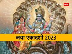 दुख और पापों से मुक्ति दिलाती है जया एकादशी, जानें इसकी व्रत कथा