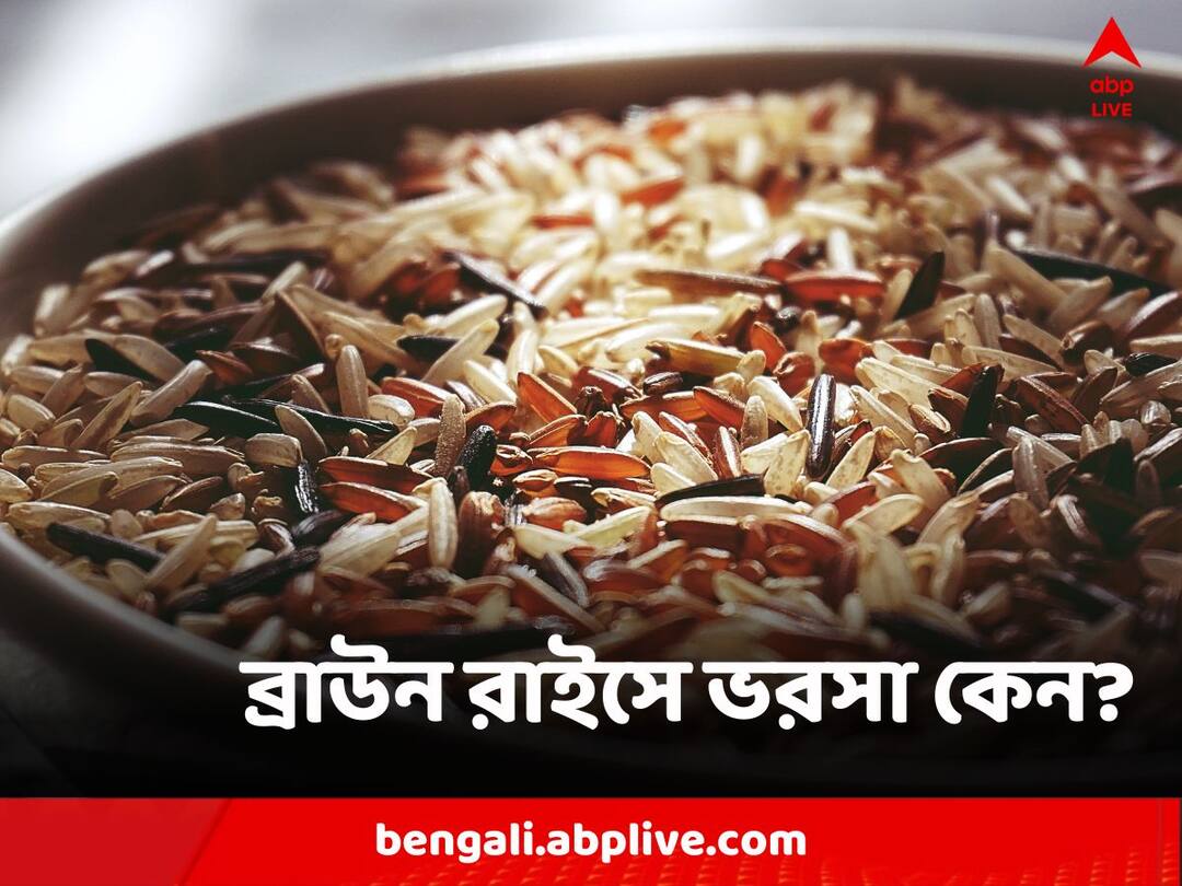 Brown Rice in Diet, Know how to cook brown rice, know in details Brown Rice Diet: সাদা চালের জায়গায় ব্রাউন রাইস! কতটা বেশি উপকার?