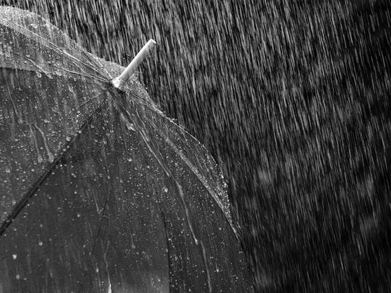 Maharashtra Weather: पुढील दोन ते तीन दिवस राज्यात पावसाची शक्यता; वाचा हवामान विभागाचा अंदाज काय? Maharashtra Weather: पुढील दोन ते तीन दिवस राज्यात पावसाची शक्यता; वाचा हवामान विभागाचा अंदाज काय?