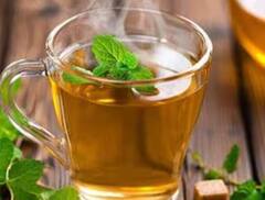 Winter Tulsi Tea Recipe: ਤੁਲਸੀ ਦੀ ਇਹ ਖਾਸ ਚਾਹ ਤੁਹਾਨੂੰ ਠੰਢ ਨਹੀਂ ਲੱਗਣ ਦੇਵੇਗੀ, ਘਰ 'ਚ ਇਸ ਤਰ੍ਹਾਂ ਬਣਾਓ