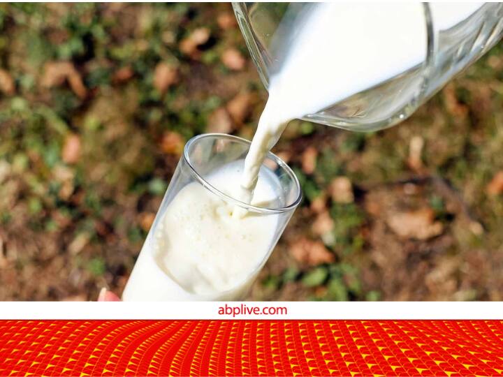 मां के दूध के बाद पालतू जानवरों जैसे गाय, भैंस और बकरी आदि का दूध ही इंसान की सेहत के लिए अच्छा माना जाता है. इन पशुओं के दूध में सेहत के लिए जरूरी पोषक तत्व भी मौजूद होते हैं.