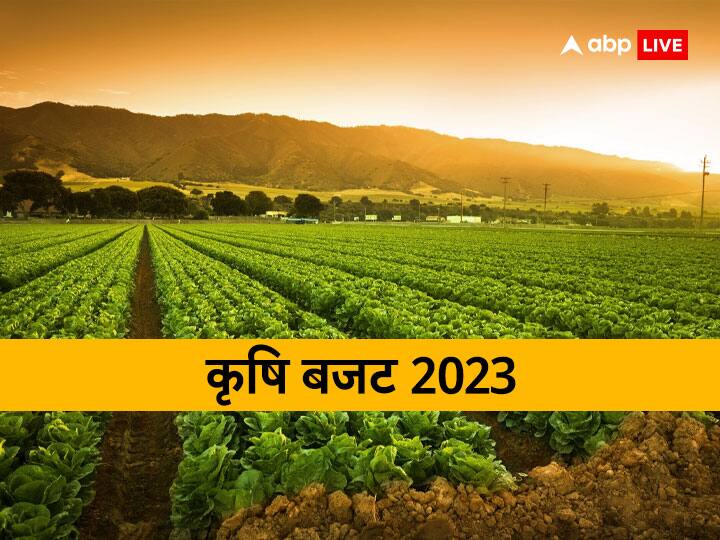 Budget 2023: क्या अब पीएम किसान निधि के 8000 रुपये खाते में आएंगे? ये बड़ी हस्तियां दे चुकी हैं सुझाव PM Kisan Nidhi update Installment price may increase after budget 2023 Budget 2023: क्या अब पीएम किसान निधि के 8000 रुपये खाते में आएंगे? ये बड़ी हस्तियां दे चुकी हैं सुझाव