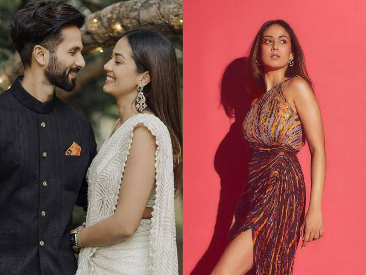 Mira Rajput Pics: शाहिद कपूर की वाइफ मीरा राजपूत भले ही फिल्मों से दूर हो लेकिन अपने स्टाइलिश लुक को लेकर सोशल मीडिया पर छाई रहती हैं. आज हम आपको मीरा के एक सीक्रेट टैलेंट के बारे में बताने वाले हैं.