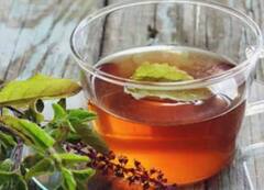 Winter Tulsi Tea Recipe: ਤੁਲਸੀ ਦੀ ਇਹ ਖਾਸ ਚਾਹ ਤੁਹਾਨੂੰ ਠੰਢ ਨਹੀਂ ਲੱਗਣ ਦੇਵੇਗੀ, ਘਰ 'ਚ ਇਸ ਤਰ੍ਹਾਂ ਬਣਾਓ