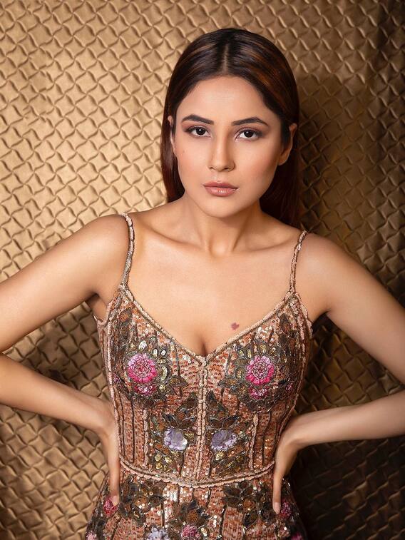 बिग बॉस 13 के बाद शहनाज गिल की यूं बदली जिंदगी