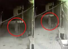 Viral Video: CCTV ਕੈਮਰੇ 'ਚ ਕੈਦ ਹੋਈਆ ਚਾਦਰ 'ਚ ਲੁਕਿਆ ਭੂਤ..! ਯਕੀਨ ਨਹੀਂ ਤਾਂ ਦੇਖੋ ਵੀਡੀਓ