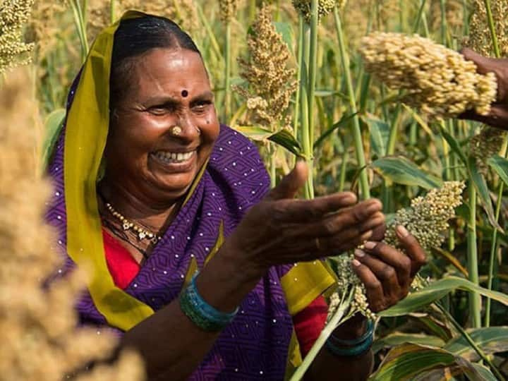 Millets Farming In India Influence Politics And Making Government abpp ज्वार, बाजरा, रागी...,मोटा अनाज सेहत ही नहीं, अब सरकारें भी बना और गिरा सकता है!