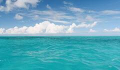 ਕੀ ਸਾਰੇ ਸਮੁੰਦਰਾਂ ਦਾ ਪਾਣੀ ਖਾਰਾ ਹੈ ਜਾਂ ਕੁਝ ਮਿੱਠਾ ਵੀ ਹੈ? ਬਹੁਤ ਘੱਟ ਲੋਕ ਇਹ ਜਾਣਦੇ ਹਨ