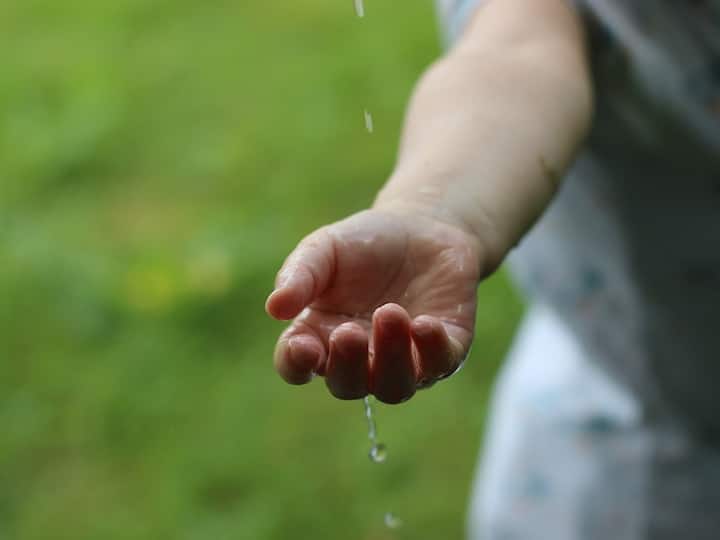 पुढील दोन ते तीन दिवस राज्यात तुरळक ठिकाणी पावसाची शक्यता हवामान विभागानं (Meteorology Department) वर्तवली आहे.