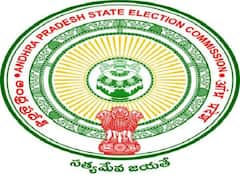 ఏపీలో ఖాళీగా ఉన్న స్థానిక సంస్థలకు త్వరలో ఎన్నికలు, నోటిఫికేషన్ విడుదల చేసిన ఈసీ