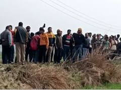 बाघ, तेदुंआ या फिसिंग कैट? यूपी के बलिया में 'रहस्यमयी' जानवर ने ग्रामीण को किया घायल