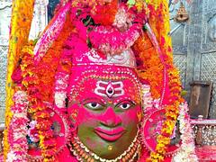 बसंत पंचमी पर भगवान महाकाल के मंदिर में उड़ा जमकर गुलाल, सदियों से चली आ रही है यह परंपरा