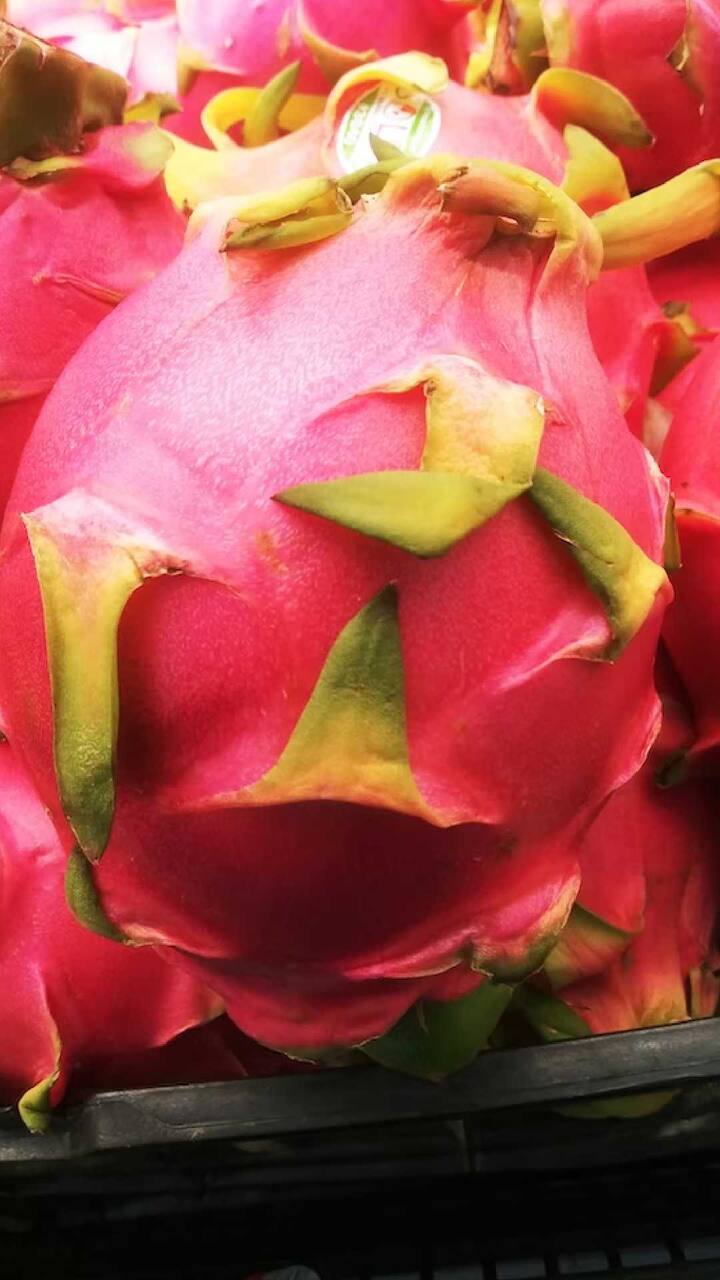 ड्रॅगन फ्रूट, ज्याला होनोलुलु क्वीन असेही म्हणतात. ही निवडुंगाची एक प्रजाती आहे. हे फळ मधुमेह असलेल्या व्यक्तीच्या रक्तातील साखरेची पातळी कमी करण्यासाठी ओळखले जाते.