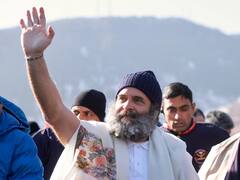 Bharat Jodo Yatra: நிறுத்தப்பட்ட ராகுலின் இந்திய ஒற்றுமை பயணம்; போதிய பாதுகாப்பு இல்லை - காங்கிரஸ் குற்றச்சாட்டு..!