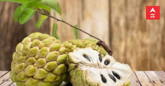 Weight Loss Fruits: ਭਾਰ ਘਟਾਉਣਾ ਚਾਹੁੰਦੇ ਹੋ? ਤਾਂ ਸਰਦੀਆਂ ‘ਚ ਰੋਜ਼ ਖਾਓ ਇਹ ਫਲ, ਤੁਰੰਤ ਘਟੇਗਾ ਭਾਰ