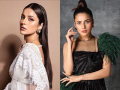 Happy Birthday Shehnaaz Gill: See How The Actress Showcases Her Best Style